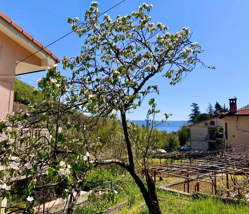 Villa Flamingo Mošćenička Draga Εξωτερικό φωτογραφία